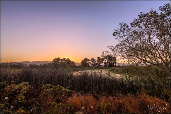 Arcata Marsh at Dawn