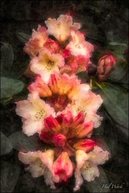 _MG_0286_CPLG_SuiRiu_Pass05