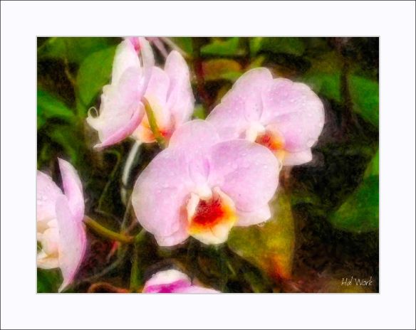 Blaine_DSCN2239_SuiRiu_Pass5