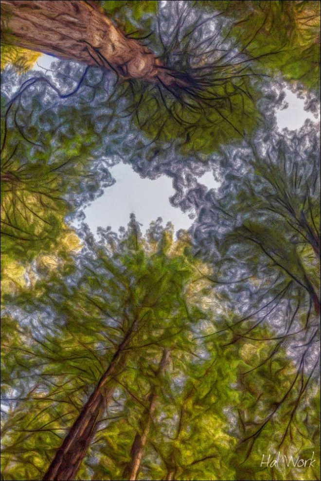 _MG_3283_32bit_CP_Lg