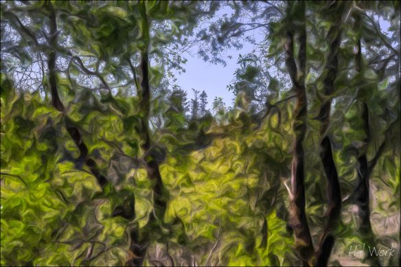 _DSC3579-HDR_AcrRWB_P4-2