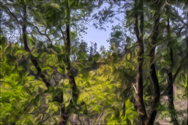 _DSC3579-HDR_AcrRWB_P4-2