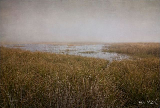 _MG_7479_32bit_textures