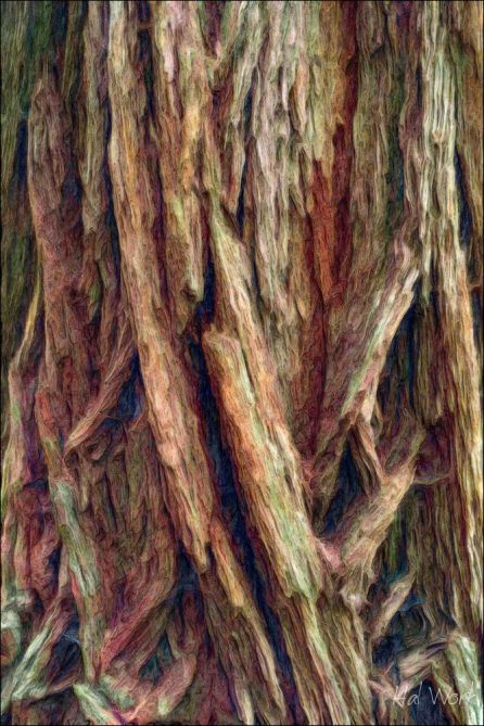 _DSC8775_AcrRLB_P4_RWB_P1_Lines